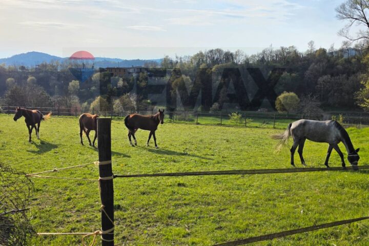 VILLAGGIO CASTELLO – Paratico